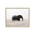 Picture of Out of Africa  _GroupedProduct_Rectangle_Landscape_Photography _GroupedProduct_Rectangle_Landscape_Framed_Matted_