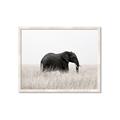 Picture of Out of Africa  _GroupedProduct_Rectangle_Landscape_Photography _GroupedProduct_Rectangle_Landscape_Framed_Matted_
