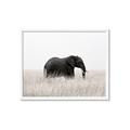 Picture of Out of Africa  _GroupedProduct_Rectangle_Landscape_Photography _GroupedProduct_Rectangle_Landscape_Framed_Matted_