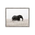 Picture of Out of Africa  _GroupedProduct_Rectangle_Landscape_Photography _GroupedProduct_Rectangle_Landscape_Framed_Matted_