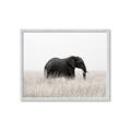 Picture of Out of Africa  _GroupedProduct_Rectangle_Landscape_Photography _GroupedProduct_Rectangle_Landscape_Framed_Matted_