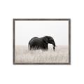 Picture of Out of Africa  _GroupedProduct_Rectangle_Landscape_Photography _GroupedProduct_Rectangle_Landscape_Framed_Matted_