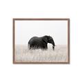 Picture of Out of Africa  _GroupedProduct_Rectangle_Landscape_Photography _GroupedProduct_Rectangle_Landscape_Framed_Matted_