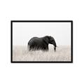 Picture of Out of Africa  _GroupedProduct_Rectangle_Landscape_Photography _GroupedProduct_Rectangle_Landscape_Framed_Matted_