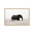 Picture of Out of Africa  _GroupedProduct_Rectangle_Landscape_Photography _GroupedProduct_Rectangle_Landscape_Framed_Matted_