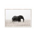 Picture of Out of Africa  _GroupedProduct_Rectangle_Landscape_Photography _GroupedProduct_Rectangle_Landscape_Framed_Matted_