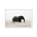 Picture of Out of Africa  _GroupedProduct_Rectangle_Landscape_Photography _GroupedProduct_Rectangle_Landscape_Framed_Matted_