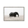 Picture of Out of Africa  _GroupedProduct_Rectangle_Landscape_Photography _GroupedProduct_Rectangle_Landscape_Framed_Matted_