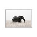 Picture of Out of Africa  _GroupedProduct_Rectangle_Landscape_Photography _GroupedProduct_Rectangle_Landscape_Framed_Matted_