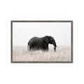 Picture of Out of Africa  _GroupedProduct_Rectangle_Landscape_Photography _GroupedProduct_Rectangle_Landscape_Framed_Matted_