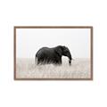Picture of Out of Africa  _GroupedProduct_Rectangle_Landscape_Photography _GroupedProduct_Rectangle_Landscape_Framed_Matted_