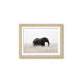 Picture of Out of Africa  _GroupedProduct_Rectangle_Landscape_Photography _GroupedProduct_Rectangle_Landscape_Framed_Matted_