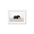 Picture of Out of Africa  _GroupedProduct_Rectangle_Landscape_Photography _GroupedProduct_Rectangle_Landscape_Framed_Matted_