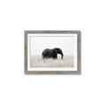 Picture of Out of Africa  _GroupedProduct_Rectangle_Landscape_Photography _GroupedProduct_Rectangle_Landscape_Framed_Matted_