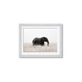 Picture of Out of Africa  _GroupedProduct_Rectangle_Landscape_Photography _GroupedProduct_Rectangle_Landscape_Framed_Matted_