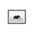 Picture of Out of Africa  _GroupedProduct_Rectangle_Landscape_Photography _GroupedProduct_Rectangle_Landscape_Framed_Matted_