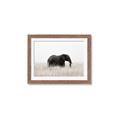 Picture of Out of Africa  _GroupedProduct_Rectangle_Landscape_Photography _GroupedProduct_Rectangle_Landscape_Framed_Matted_