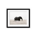 Picture of Out of Africa  _GroupedProduct_Rectangle_Landscape_Photography _GroupedProduct_Rectangle_Landscape_Framed_Matted_