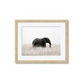 Picture of Out of Africa  _GroupedProduct_Rectangle_Landscape_Photography _GroupedProduct_Rectangle_Landscape_Framed_Matted_