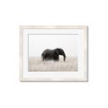 Picture of Out of Africa  _GroupedProduct_Rectangle_Landscape_Photography _GroupedProduct_Rectangle_Landscape_Framed_Matted_