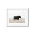 Picture of Out of Africa  _GroupedProduct_Rectangle_Landscape_Photography _GroupedProduct_Rectangle_Landscape_Framed_Matted_