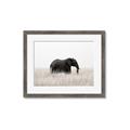 Picture of Out of Africa  _GroupedProduct_Rectangle_Landscape_Photography _GroupedProduct_Rectangle_Landscape_Framed_Matted_