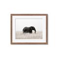 Picture of Out of Africa  _GroupedProduct_Rectangle_Landscape_Photography _GroupedProduct_Rectangle_Landscape_Framed_Matted_