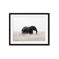 Picture of Out of Africa  _GroupedProduct_Rectangle_Landscape_Photography _GroupedProduct_Rectangle_Landscape_Framed_Matted_