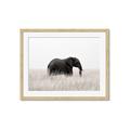 Picture of Out of Africa  _GroupedProduct_Rectangle_Landscape_Photography _GroupedProduct_Rectangle_Landscape_Framed_Matted_