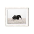 Picture of Out of Africa  _GroupedProduct_Rectangle_Landscape_Photography _GroupedProduct_Rectangle_Landscape_Framed_Matted_