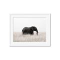 Picture of Out of Africa  _GroupedProduct_Rectangle_Landscape_Photography _GroupedProduct_Rectangle_Landscape_Framed_Matted_