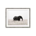Picture of Out of Africa  _GroupedProduct_Rectangle_Landscape_Photography _GroupedProduct_Rectangle_Landscape_Framed_Matted_