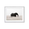 Picture of Out of Africa  _GroupedProduct_Rectangle_Landscape_Photography _GroupedProduct_Rectangle_Landscape_Framed_Matted_