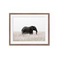 Picture of Out of Africa  _GroupedProduct_Rectangle_Landscape_Photography _GroupedProduct_Rectangle_Landscape_Framed_Matted_