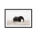 Picture of Out of Africa  _GroupedProduct_Rectangle_Landscape_Photography _GroupedProduct_Rectangle_Landscape_Framed_Matted_