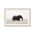 Picture of Out of Africa  _GroupedProduct_Rectangle_Landscape_Photography _GroupedProduct_Rectangle_Landscape_Framed_Matted_