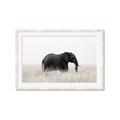 Picture of Out of Africa  _GroupedProduct_Rectangle_Landscape_Photography _GroupedProduct_Rectangle_Landscape_Framed_Matted_