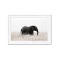 Picture of Out of Africa  _GroupedProduct_Rectangle_Landscape_Photography _GroupedProduct_Rectangle_Landscape_Framed_Matted_