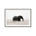 Picture of Out of Africa  _GroupedProduct_Rectangle_Landscape_Photography _GroupedProduct_Rectangle_Landscape_Framed_Matted_