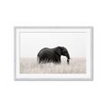 Picture of Out of Africa  _GroupedProduct_Rectangle_Landscape_Photography _GroupedProduct_Rectangle_Landscape_Framed_Matted_