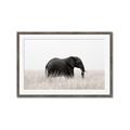 Picture of Out of Africa  _GroupedProduct_Rectangle_Landscape_Photography _GroupedProduct_Rectangle_Landscape_Framed_Matted_