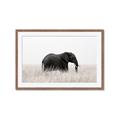 Picture of Out of Africa  _GroupedProduct_Rectangle_Landscape_Photography _GroupedProduct_Rectangle_Landscape_Framed_Matted_