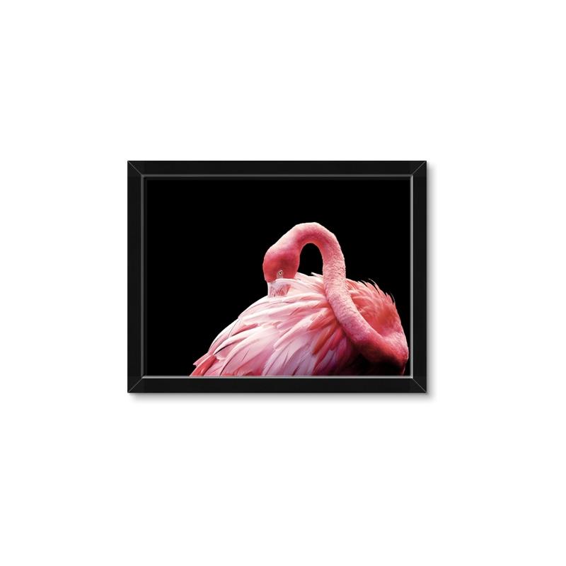 Picture of Pink in Contrast  _GroupedProduct_Rectangle_Landscape_Photography _GroupedProduct_Rectangle_Landscape_Framed_Matted_