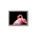 Picture of Pink in Contrast  _GroupedProduct_Rectangle_Landscape_Photography _GroupedProduct_Rectangle_Landscape_Framed_Matted_