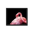 Picture of Pink in Contrast  _GroupedProduct_Rectangle_Landscape_Photography _GroupedProduct_Rectangle_Landscape_Framed_Matted_