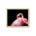 Picture of Pink in Contrast  _GroupedProduct_Rectangle_Landscape_Photography _GroupedProduct_Rectangle_Landscape_Framed_Matted_