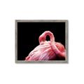 Picture of Pink in Contrast  _GroupedProduct_Rectangle_Landscape_Photography _GroupedProduct_Rectangle_Landscape_Framed_Matted_