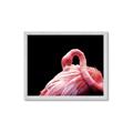 Picture of Pink in Contrast  _GroupedProduct_Rectangle_Landscape_Photography _GroupedProduct_Rectangle_Landscape_Framed_Matted_