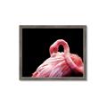 Picture of Pink in Contrast  _GroupedProduct_Rectangle_Landscape_Photography _GroupedProduct_Rectangle_Landscape_Framed_Matted_