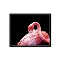 Picture of Pink in Contrast  _GroupedProduct_Rectangle_Landscape_Photography _GroupedProduct_Rectangle_Landscape_Framed_Matted_
